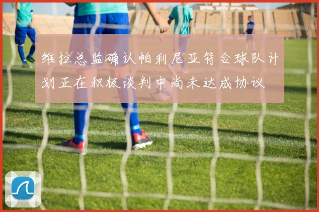 维拉总监确认帕利尼亚符合球队计划正在积极谈判中尚未达成协议